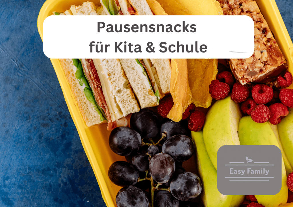 Pausen Snacks für Kita und Grundschule Easy Family