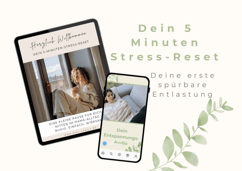 5 Minuten Stress Reset Easy Family Methode