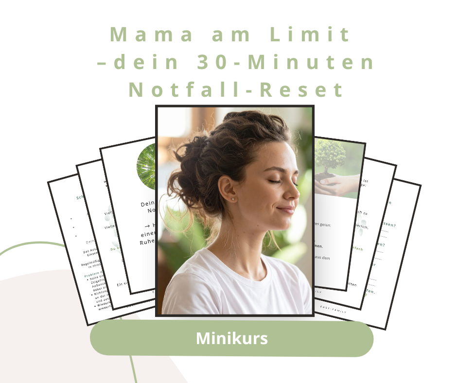 Minikurs Easy Family - dein 30 Minuten Notfall Reset